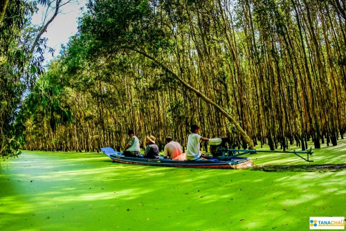 Miền Tây - Châu Đốc - Rừng Tràm Trà Sư Hà Tiên - Rạch Giá - Cần Thơ