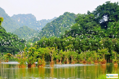 VƯỜN CHIM THUNG NHAM – BÁI ĐÍNH