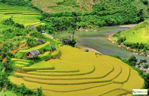 Du lịch Điện biên - Lai châu (Bằng máy bay)