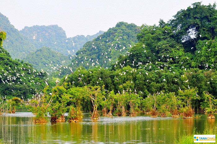 VƯỜN CHIM THUNG NHAM – BÁI ĐÍNH